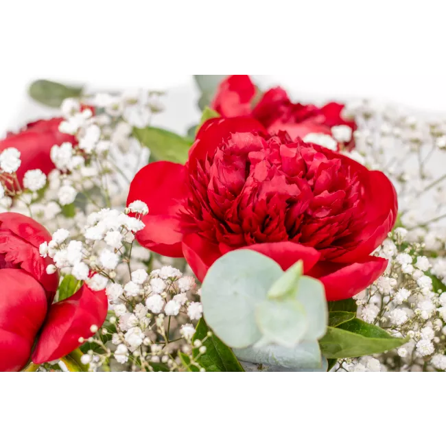 Kytice červených pivoněk